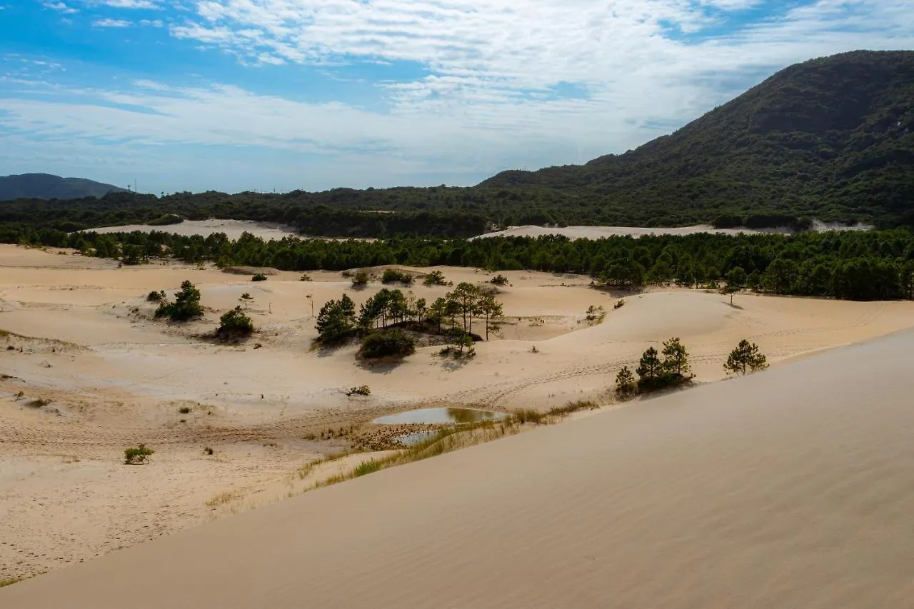 Apto Com Jeito De Casa Entre O Mar E A Montanha Florianópolis
