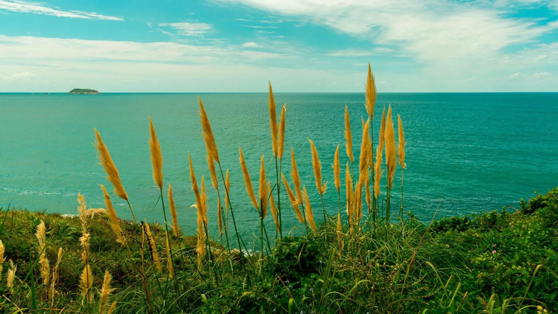 Casa de Férias Apto Com Jeito De Casa Entre O Mar E A Montanha Florianópolis